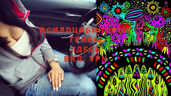 гашик Волосово